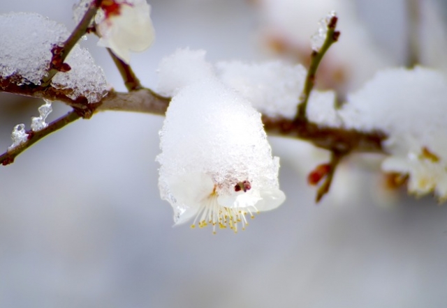 春分の日に自分のコアコンセプトを思う 春分の日に自分のコアコンセプトを思う